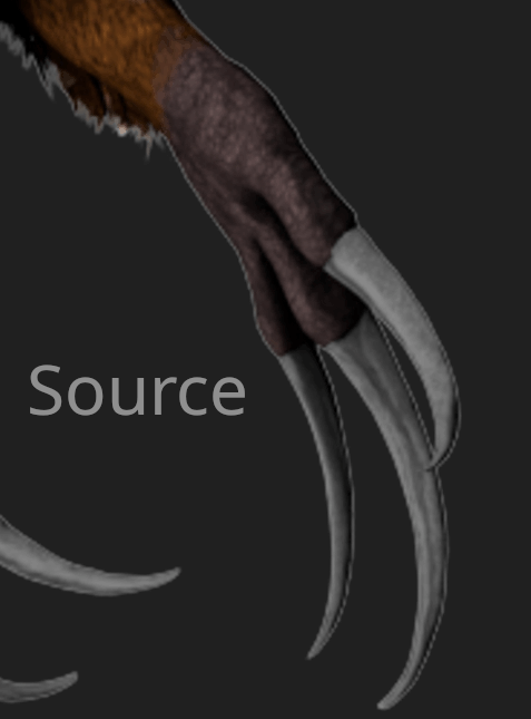 Compression Artifacts
